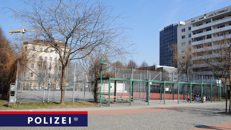 Viyana’da 26 yaşındaki kadına parkta tecavüz edildi