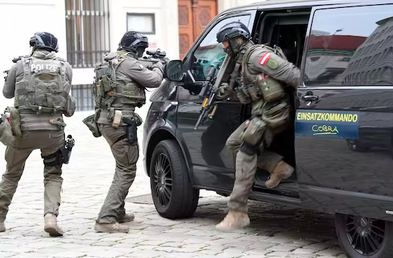 Özel tim Cobra’dan Nazi propagandası yapan kadına operasyon