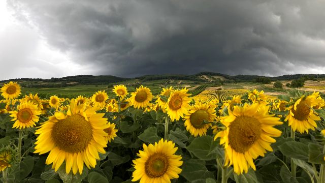 Pazar günü ufukta yine kuvvetli gök gürültülü fırtınalar var