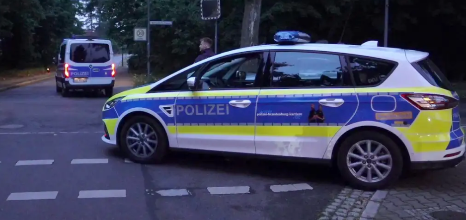Berlin’de başıboş aslan paniği