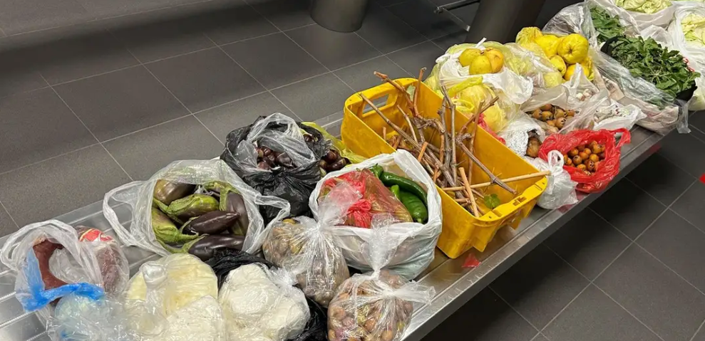 Türkiye’den gelen üç yolcunun valizinden 50 kilogram yiyecek çıktı