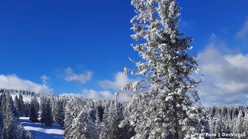 Avusturya’da kar yağışı bekleniyor