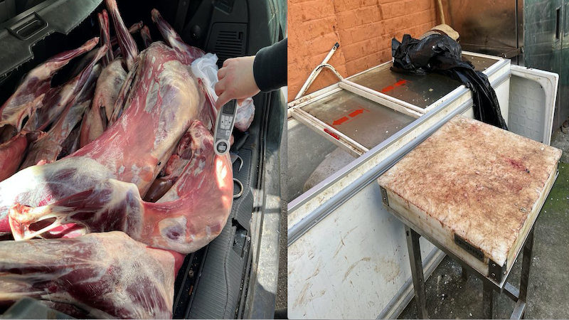 Yine Viyana yine Favoriten | Bir et skandalı daha