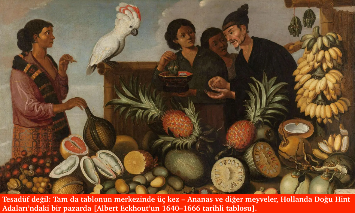 Gerçekten de Havva, Adem’i bir ananasla mı baştan çıkardı?
