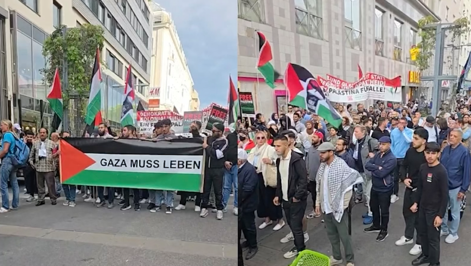 Viyana’da yüzlerce insan, Avusturya’nın zulme karşı sessizliğini protesto etti
