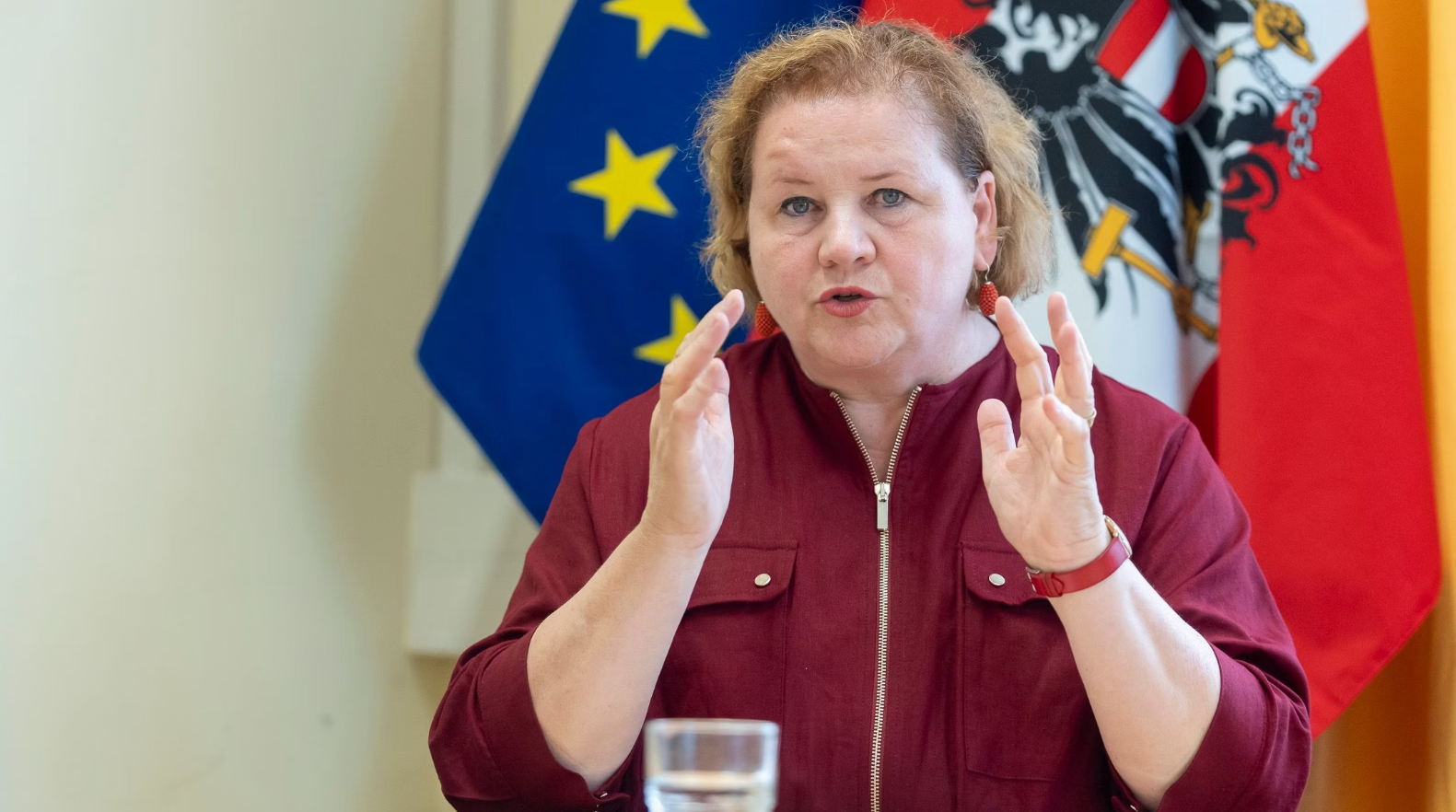 Avusturya’da 60 Yaş Üstü İşgücü İçin Kota Tartışması