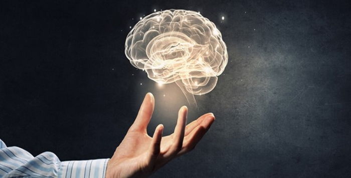 “Anlam-Dünyamız” [Die Sinnwelt]