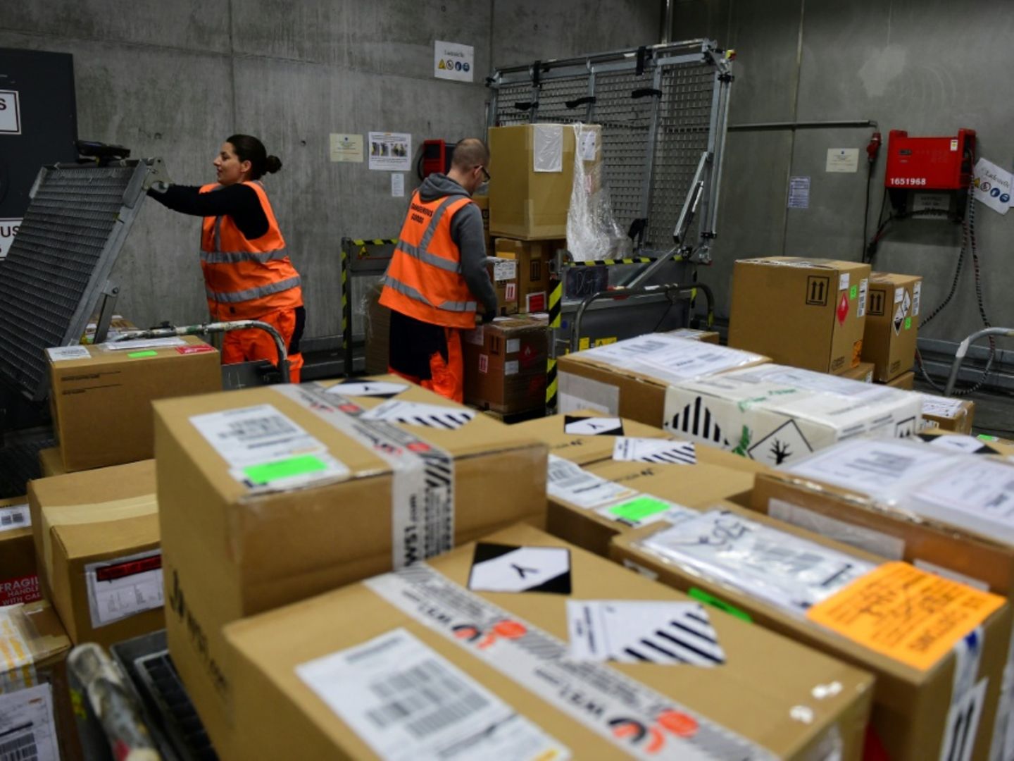 Kedi Uyuyakaldığı Kutuyla Kargoya Gitti