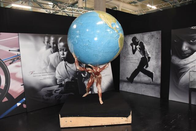 “Zamanın Nabzında” | Body Worlds Sergisi Viyana Stadthalle’ye Geri Döndü