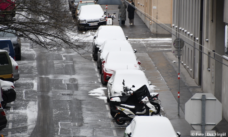 Viyana’ya yılın ilk karı yağdı!