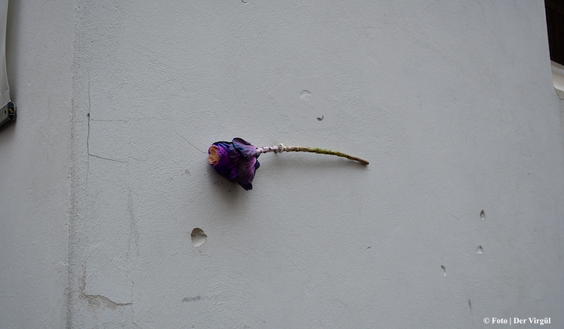 Terroranschlag in Wien 2020 und tödliche Fehler | Die Wahrheit fünf Jahre später