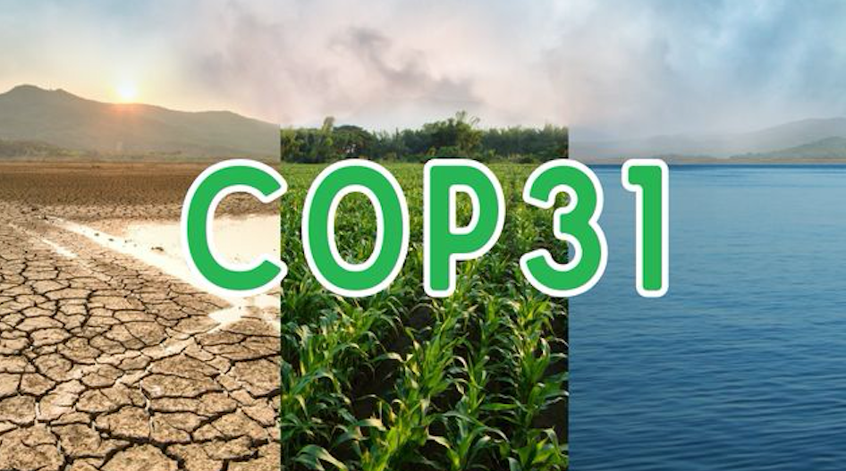 COP31 | Türkiye’nin en pahalı vitri̇ni mi, dönüşüm fırsatı mı?