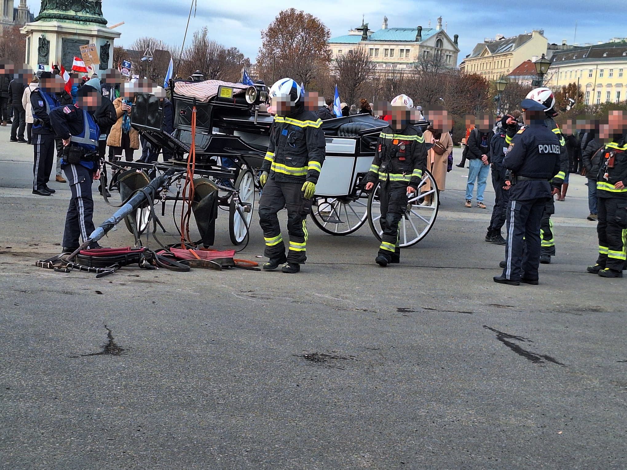 Viyana’da Atların Bitmeyen Çilesi | Fayton Kazası Yine Tepki Çekti