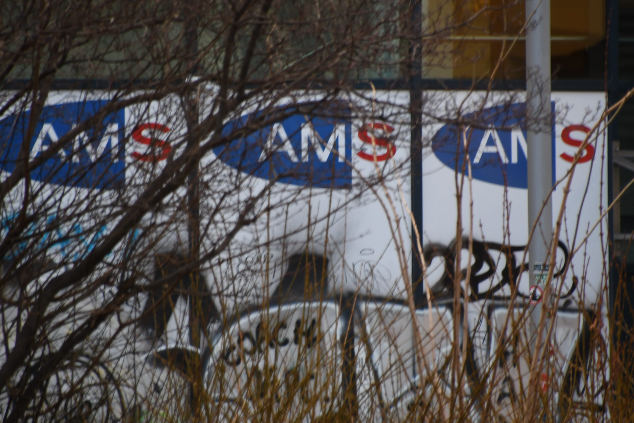 2026’da Avusturya İşgücü Piyasasında Neler Olacak?