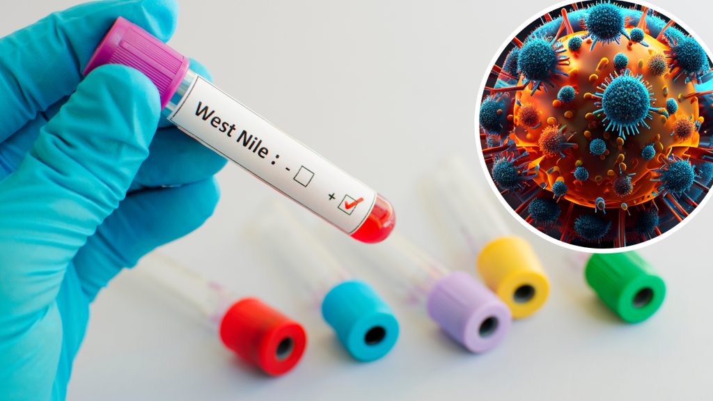 Batı Nil Virüsü yayılıyor | Avusturya’da rekor vaka sayısı