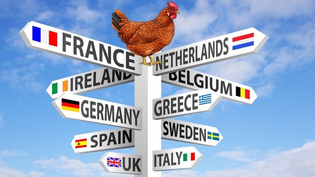 Avrupa’nın dönerle imtihanı