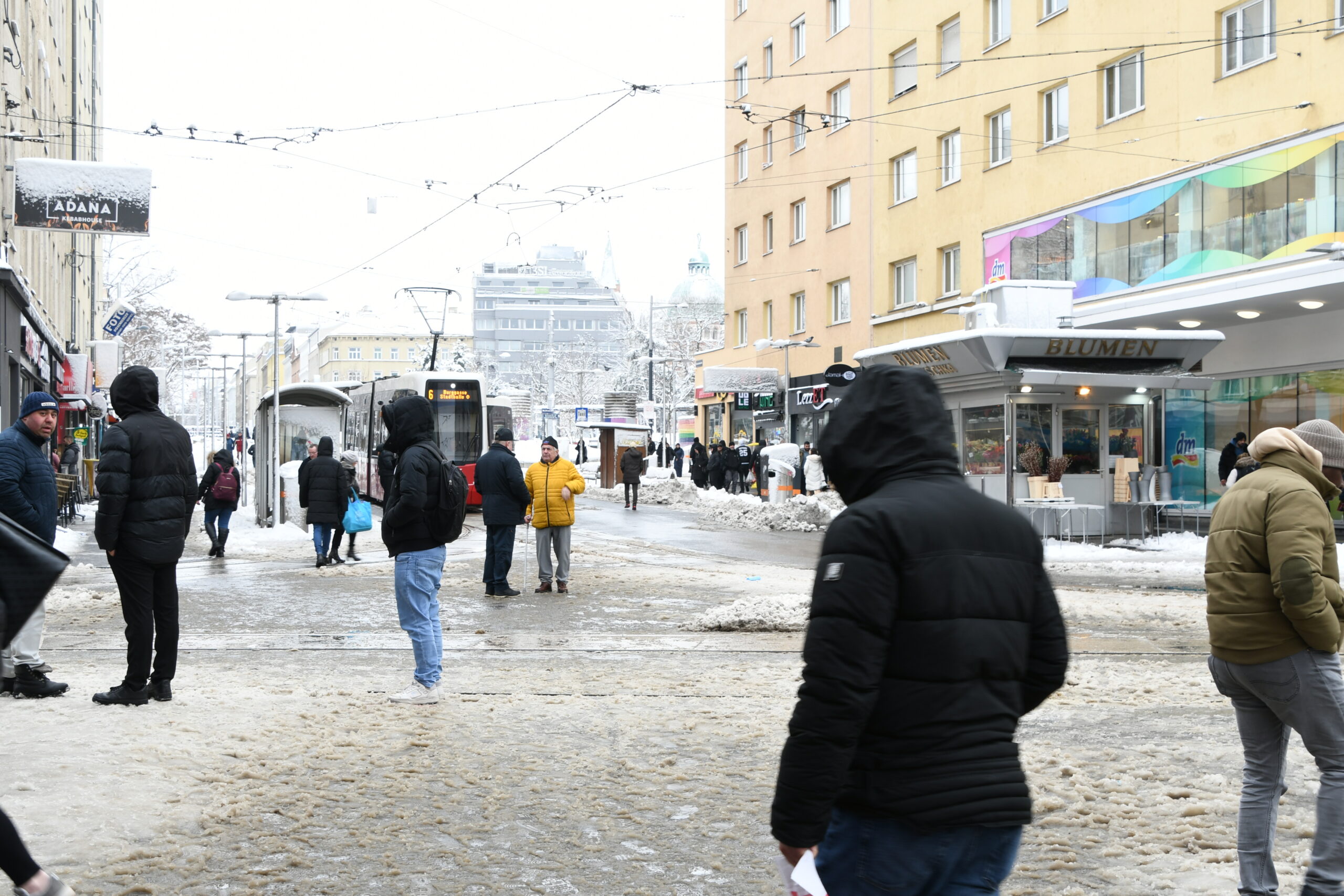 Avusturyalıların Gözünde Türkiye Kökenliler