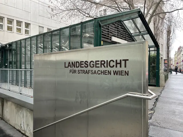 Westbahnhof IŞİD davası: 15 yaşındaki sanığa tehdit suçundan hapis cezası