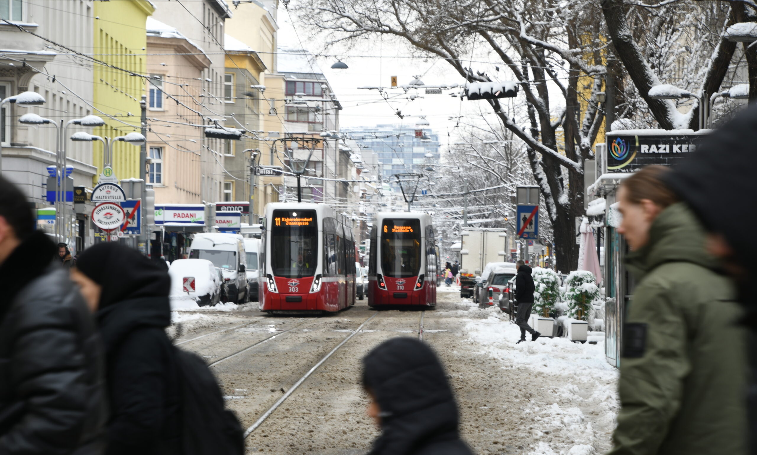 Avusturya’da fırtına öncesi sessizlik