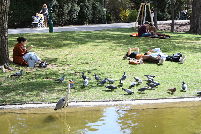 Hafta sonu bahar havasıyla geliyor
