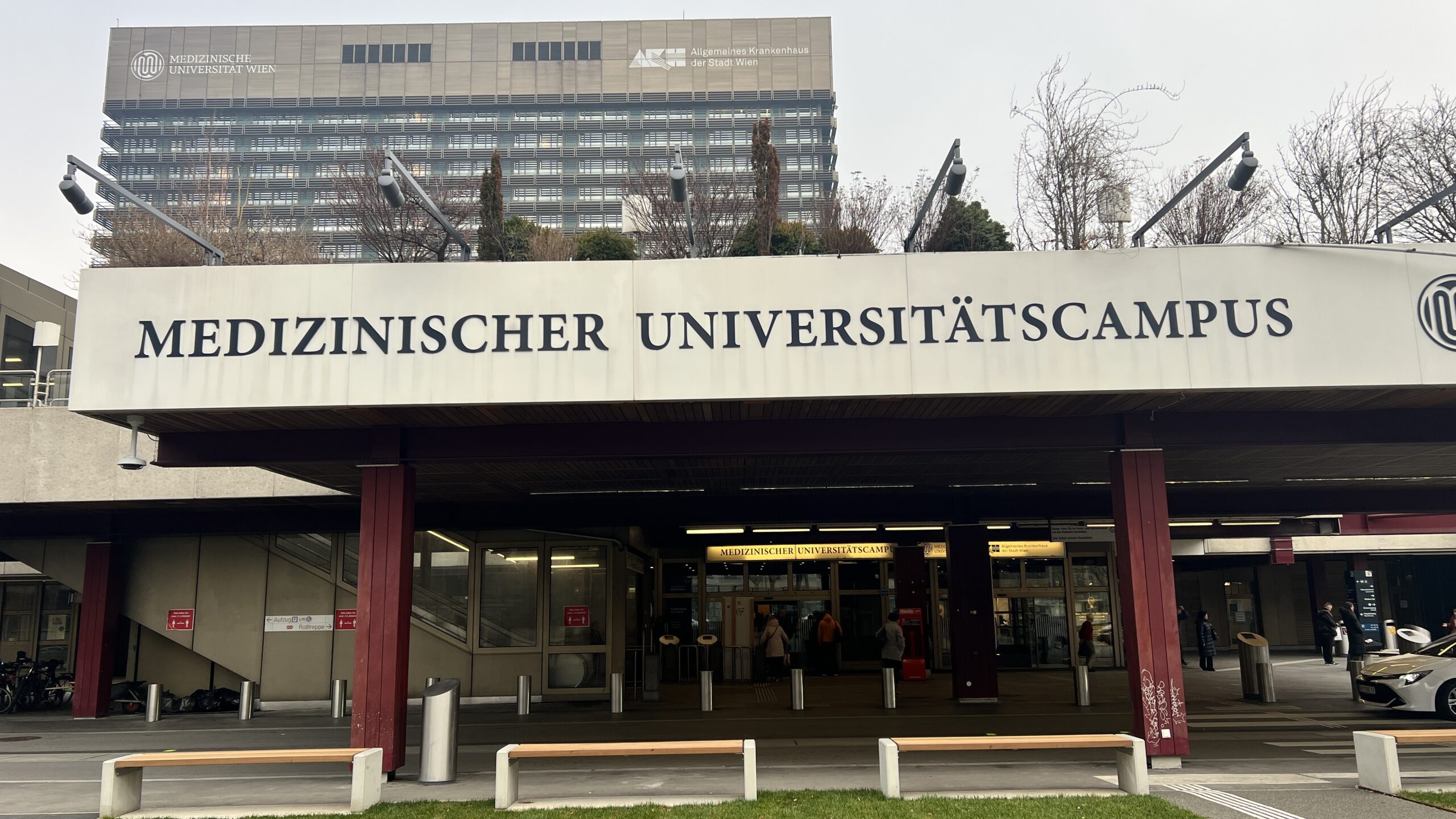 Die eigentliche Frage, die die FPÖ beantworten sollte: Warum benötigen Migrantinnen und Migranten häufiger Gesundheitsleistungen?