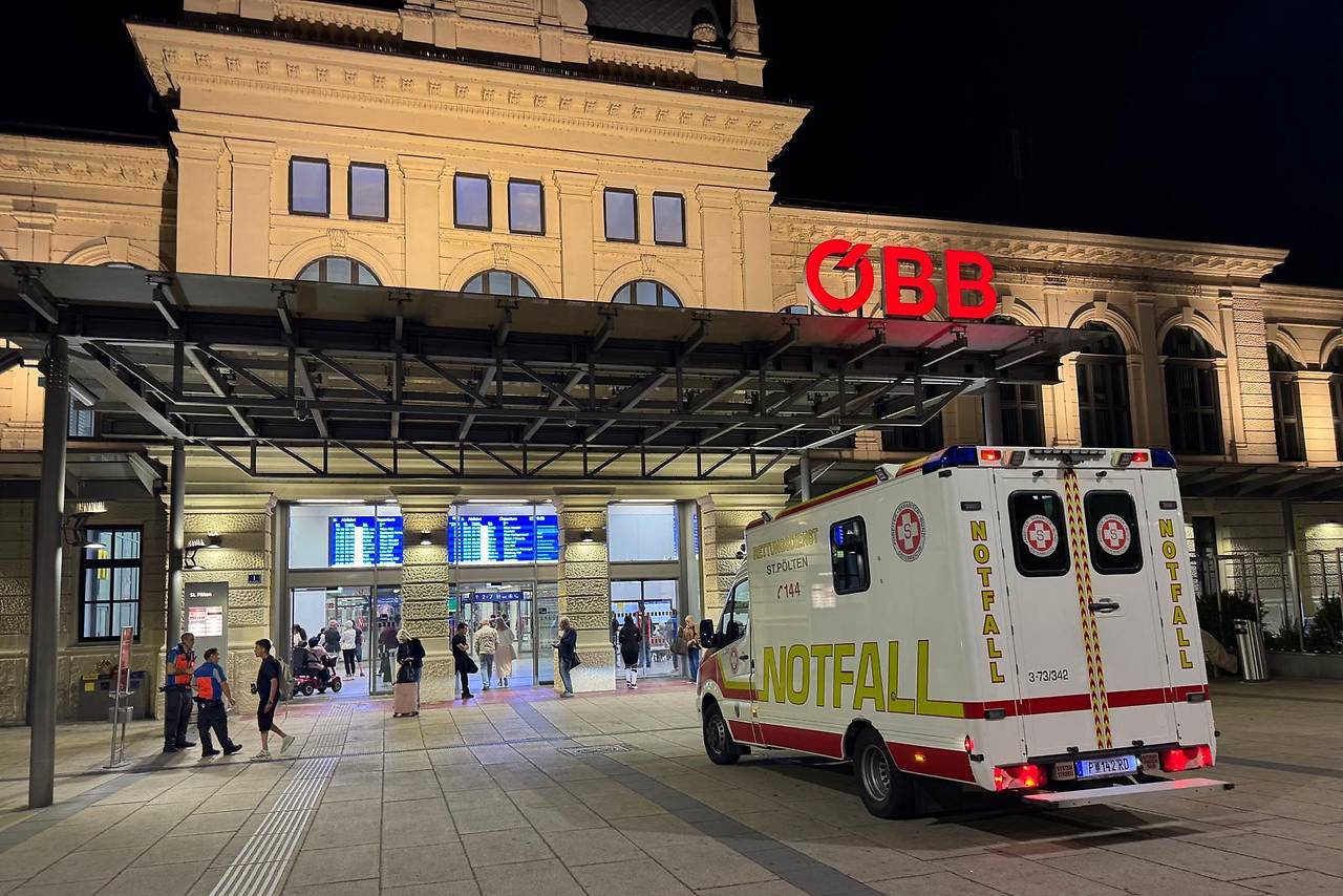 Kuş, St. Pölten çevresindeki tren trafiğini felç etti