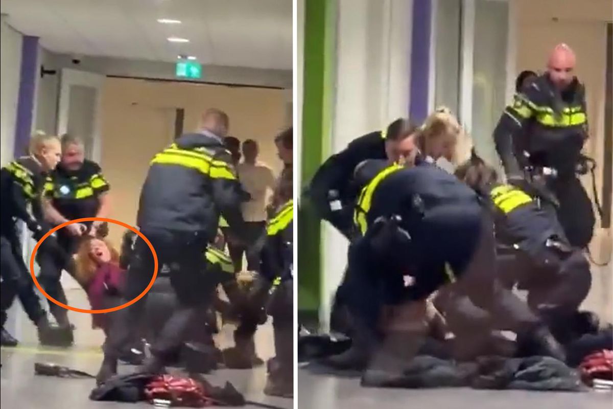 Hollanda’da Hamile Filistinli Kadına Polis Müdahalesi Tepki Çekti