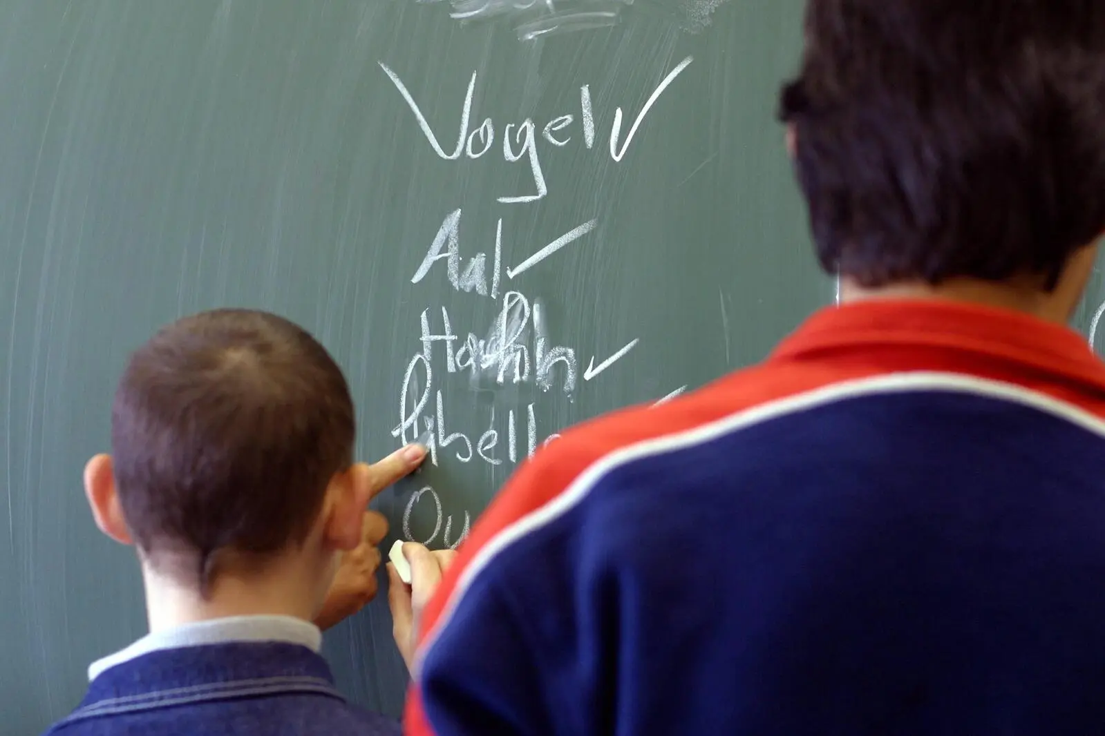 Dil sorunu yaşayan ilkokul öğrencilerinin yüzde 36’sı Avusturya vatandaşı