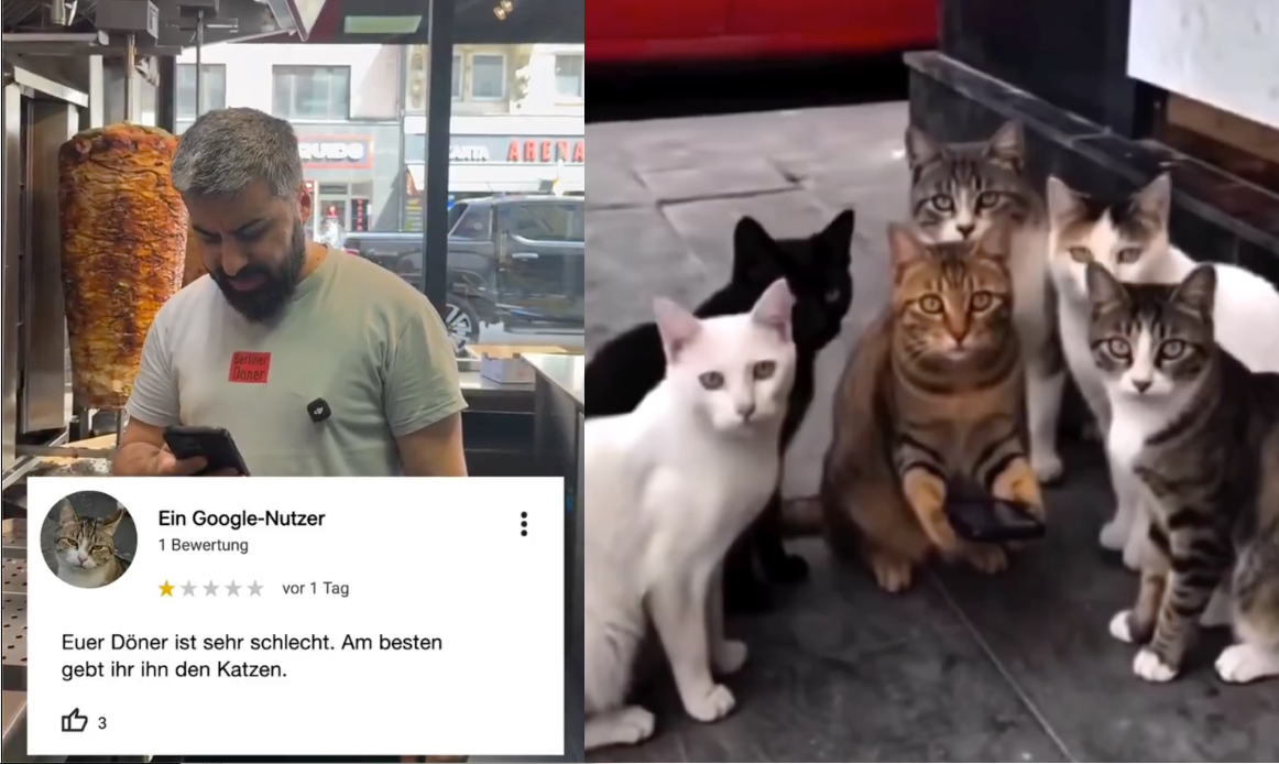 Kötü Yorum Viral Reklama Dönüştü | Dönerci ve Kediler Sosyal Medyayı Salladı