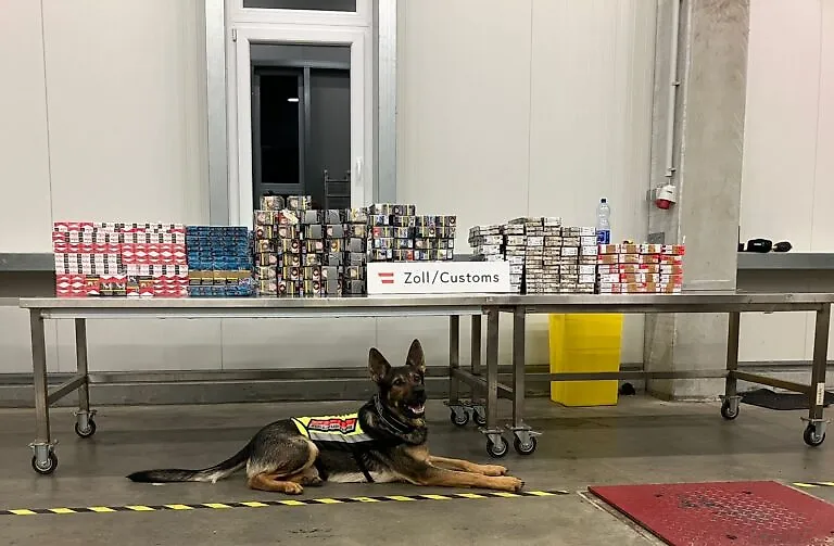Avusturya gümrüğü yılın ilk yarısında 144 kilo uyuşturucu ele geçirdi
